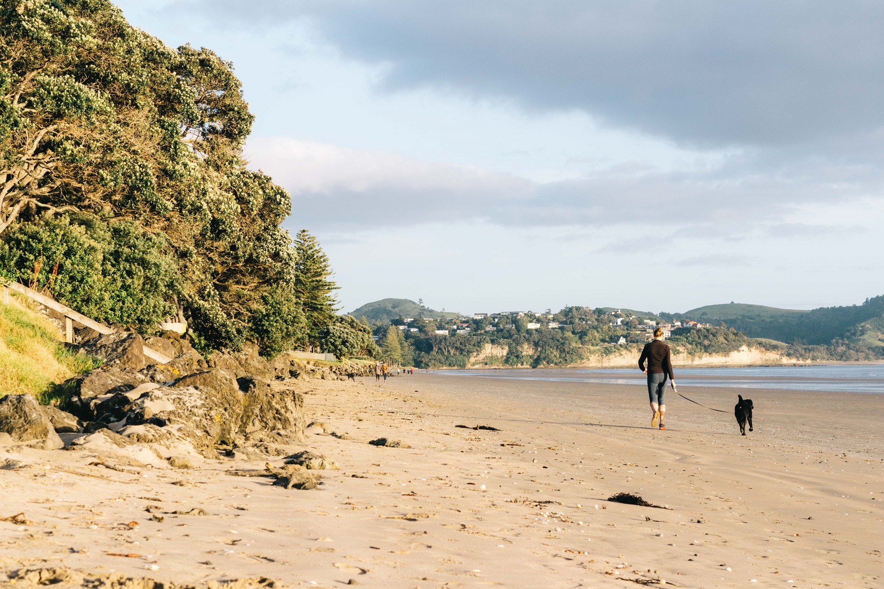 Dog on beach-Lead Dog on beach-Lead