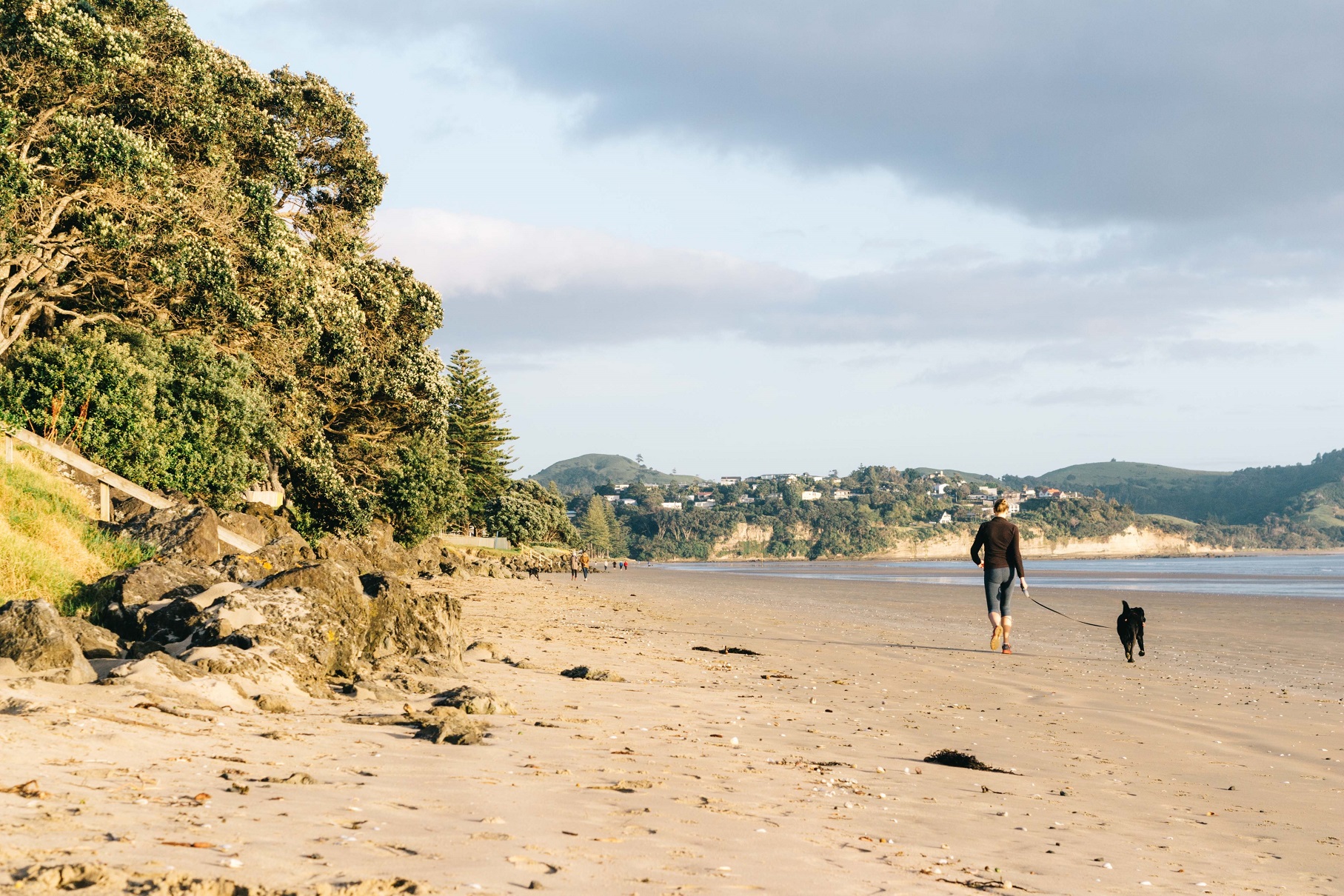 Dog on beach-Lead